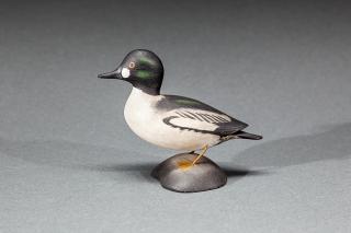 Appraisal: Miniature Goldeneye Drake A Elmer Crowell - East Harwich MA