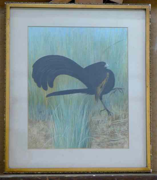 Appraisal: Henrik Gr nvald watercolour Black bird of paradise signed x