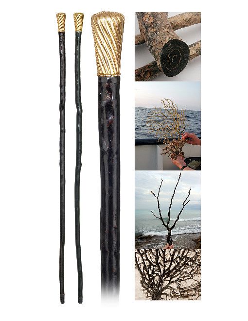 Appraisal: Singular Gold and Black Coral Cane Ca -Longer high carat