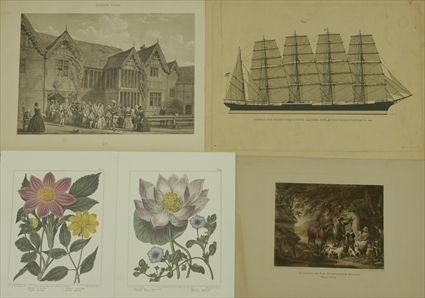 Appraisal: Assorted Reproduction Prints Pink and yellow Dahlia print x in