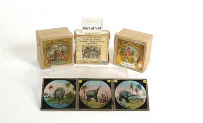 Appraisal: Coloured Lithographic Tiger and The Tub Magic Lantern Slides British