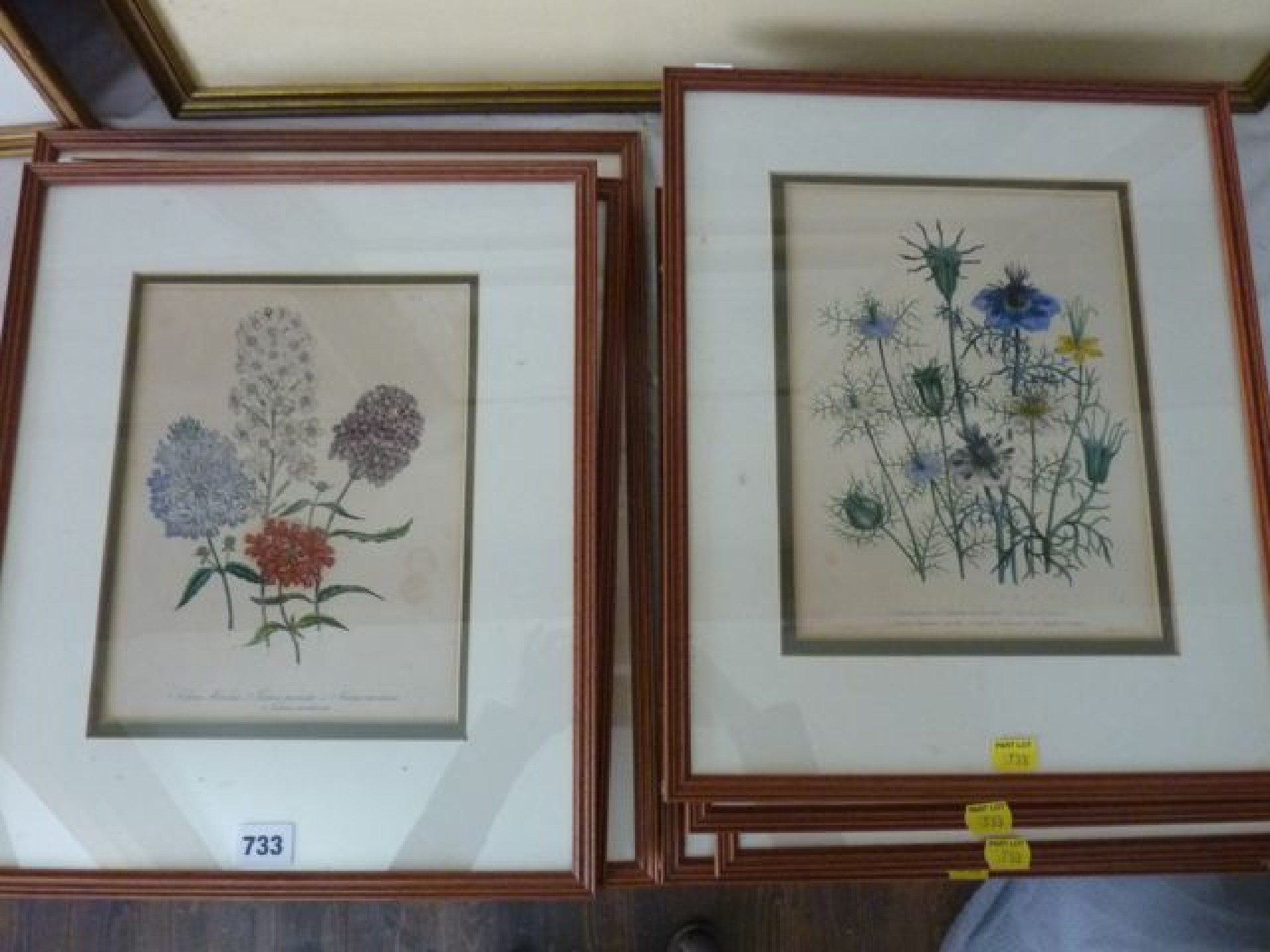 Appraisal: A collection of various th century coloured botanical engravings subjects