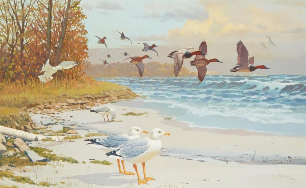 Appraisal: Lee LeBlanc - Iron River MI Ducks and gulls along