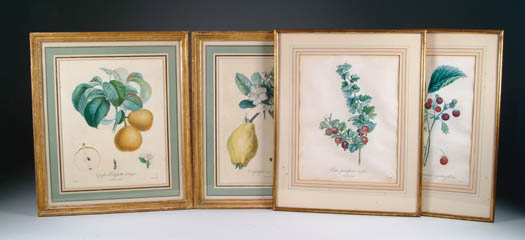 Appraisal: LOT OF SIX FRAMED FLOWER AND FRUIT PRINTS Lot consists