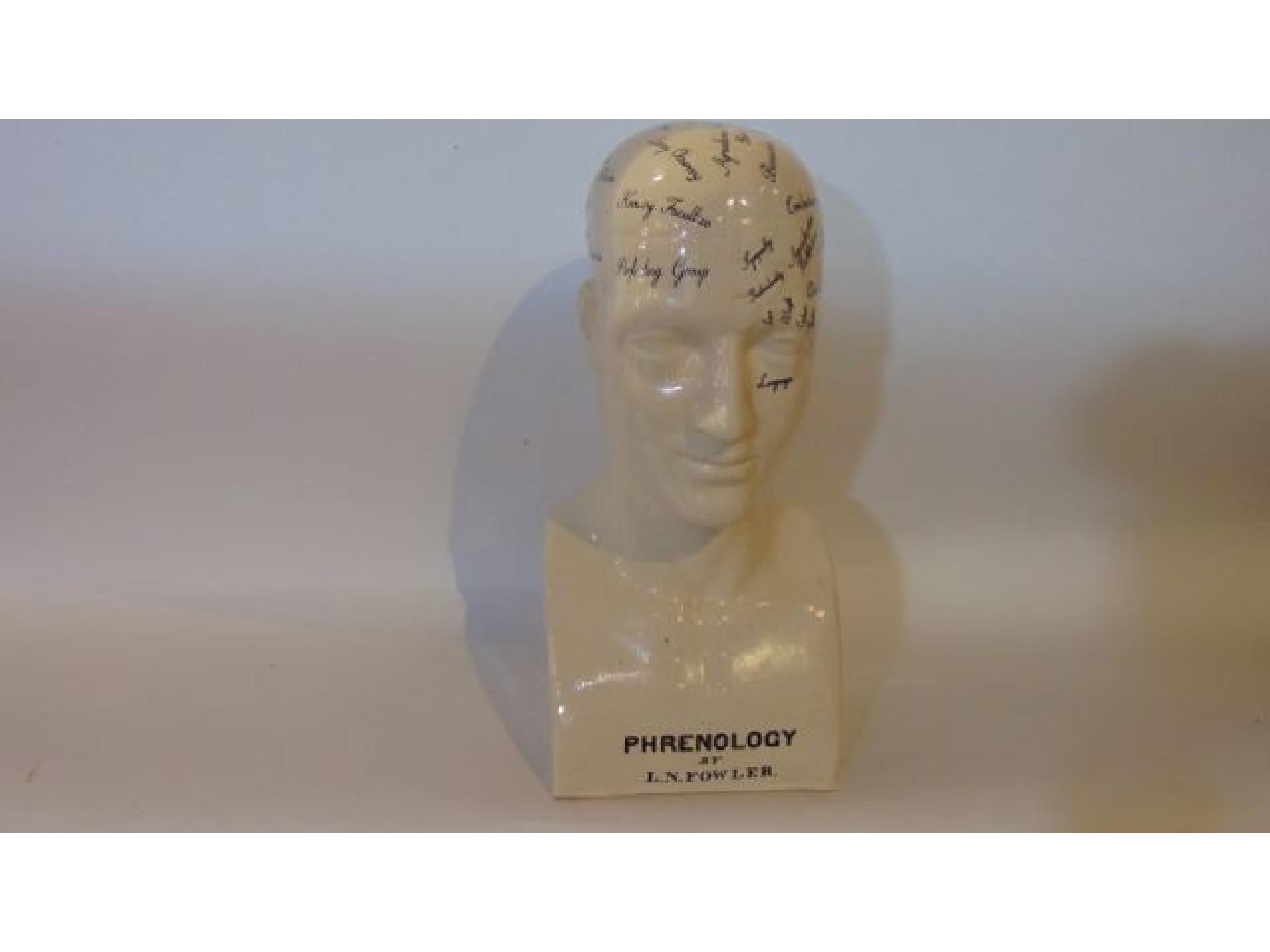 Appraisal: A reproduction Victorian style phrenology bust with printed inscription by