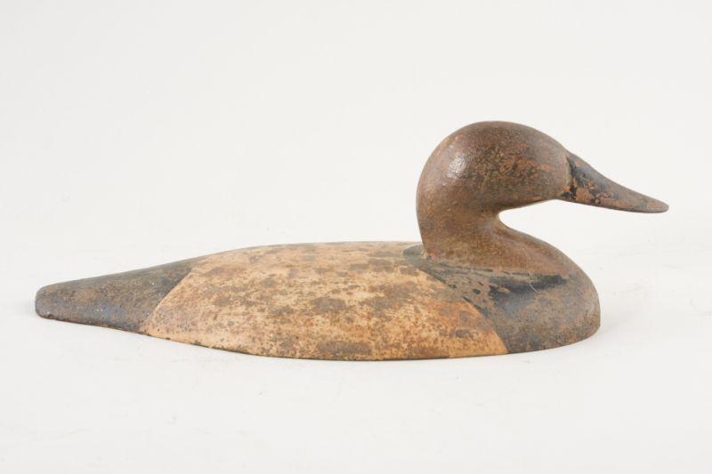 Appraisal: Iron Sink Box Canvasback Decoy Upper Bay x x The