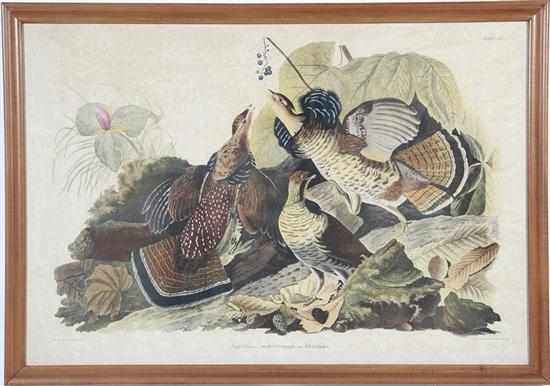 Appraisal: John James Audubon after New York - RUFFED GROUSE Tetrao