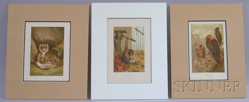 Appraisal: Lot of Three Matted and Unframed American th Century Chromolithographs