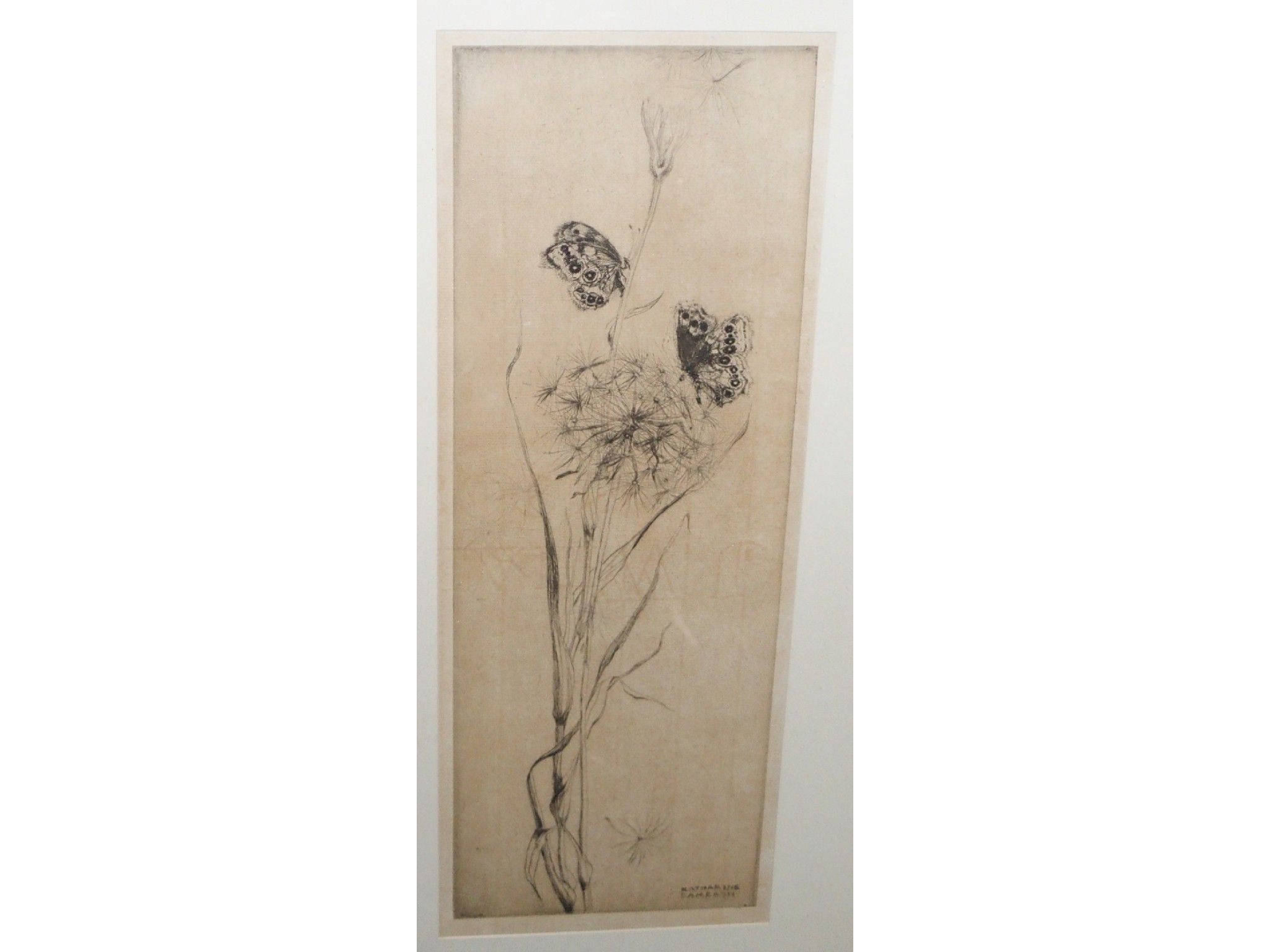 Appraisal: KATHERINE CAMERON Dandelions signed etching and blossom signed etching