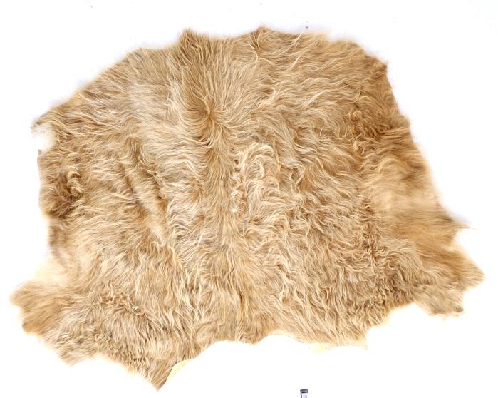 Appraisal: Montana Charolais Winter Shaggy Cowhide Rug For your bidding pleasure