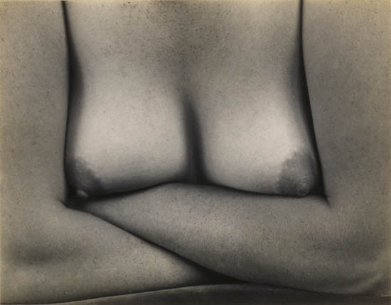 Appraisal: WESTON EDWARD - WESTON COLE - Nude Charis Silver print