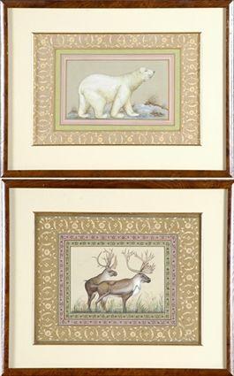 Appraisal: Indian School th C Caribou and Polar Bear Watercolor on