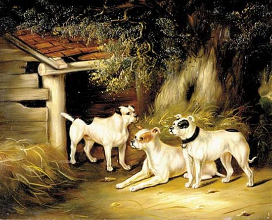 Appraisal: British school th century THREE DOGS IN YARDoil on panel