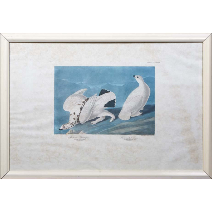 Appraisal: John James Audubon - Haitian American American Ptarmigan and White-tailed