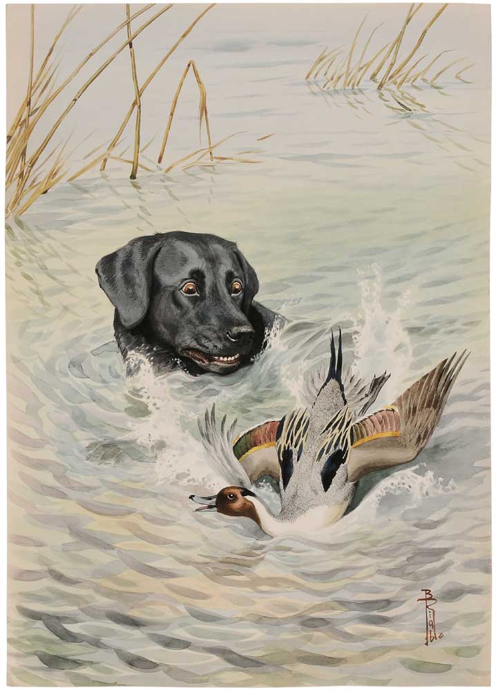 Appraisal: Boris Riab French Russian - Labrador Retriever Retrieving a Duck