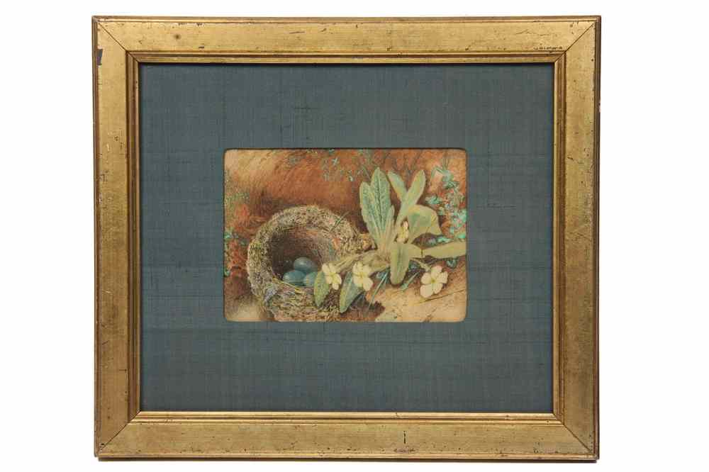 Appraisal: WATERCOLOR - Victorian Study of a Wild Bird's Nest with