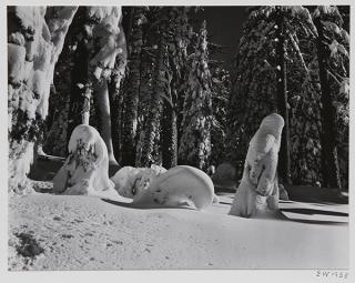 Appraisal: Photograph Edward Weston Edward Weston American - Snow Yosemite gelatin