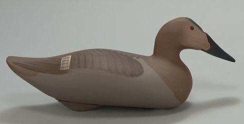 Appraisal: PAIR OF CANVASBACK DECOYS By Captain Harry Jobes Original paint