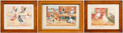 Appraisal: Three S H Shaw pigeon watercolors pigeons represented in their