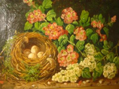 Appraisal: C T BALE Still Life with Bird Nest and Flowers