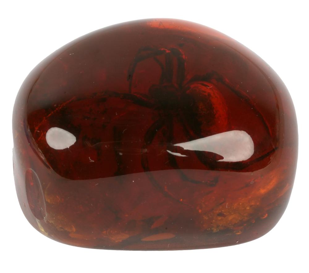 Appraisal: AMBER SPECIMEN WITH SPIDERoval cabochon-cut amber with spider inclusion grams