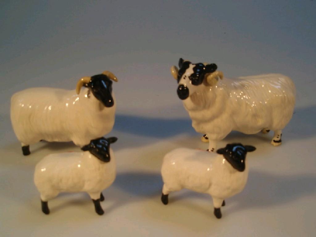 Appraisal: A Beswick Blackface ram ewe and to lambs the ram