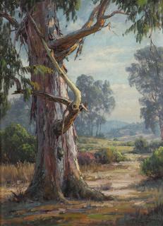 Appraisal: Paul Grimm Eucalyptus tree in a landscape signed lower right