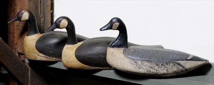 Appraisal: THREE PAINTED WOOD CANADIAN GOOSE DECOYS to in