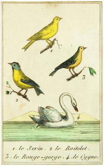 Appraisal: GIDE Fils publishers Histoire des Oiseaux Paris Gide Fils n