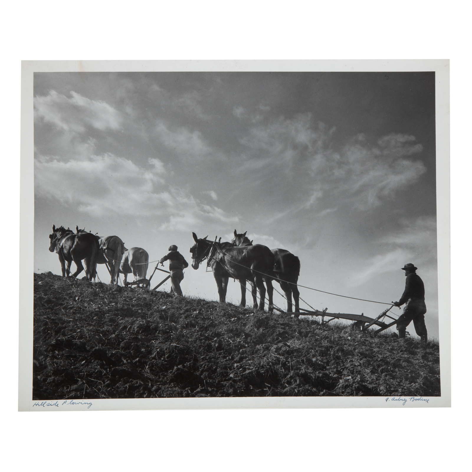 Appraisal: A AUBREY BODINE HILLSIDE PLOWING American - Gelatin silver print