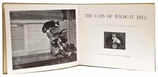 Appraisal: Charles Wilson Edward Weston - The Cats of Wildcat Hill