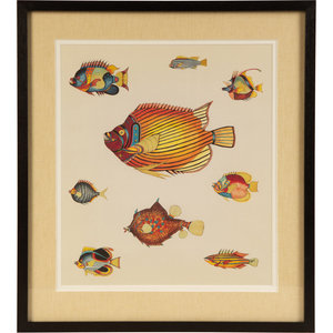 Appraisal: A Suite of Thirteen Framed Giclee Prints of Colorful Tropical