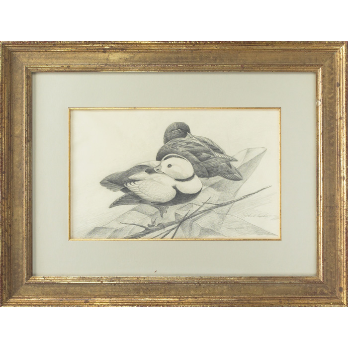 Appraisal: John A Ruthven American b Labrador Ducks pencil drawing x