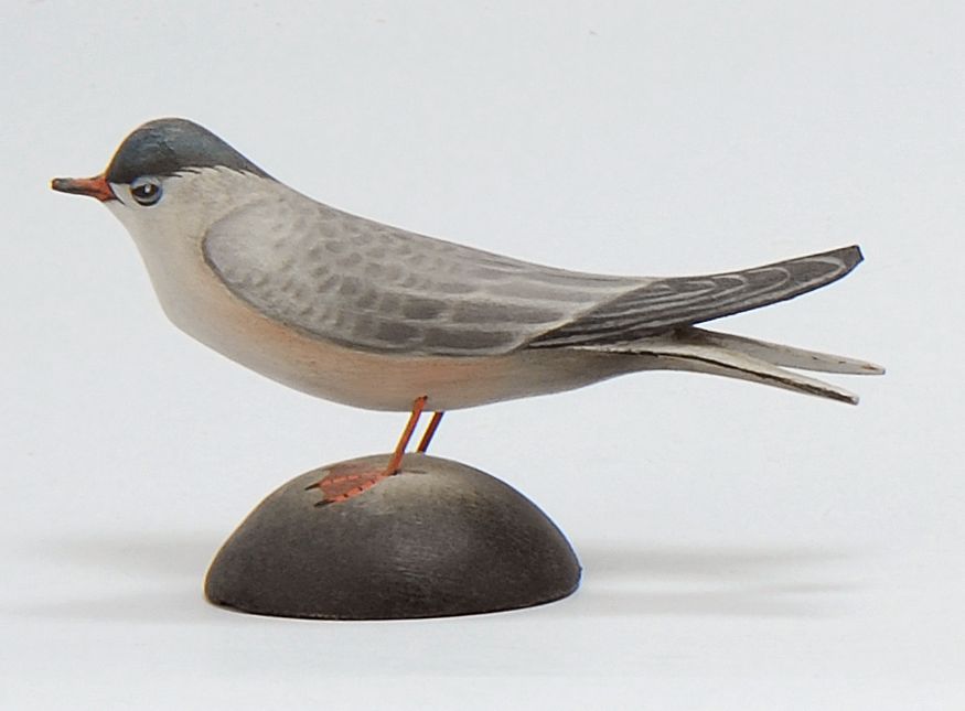 Appraisal: MINIATURE COMMON TERN By Crowell of East Harwich Massachusetts Rectangular