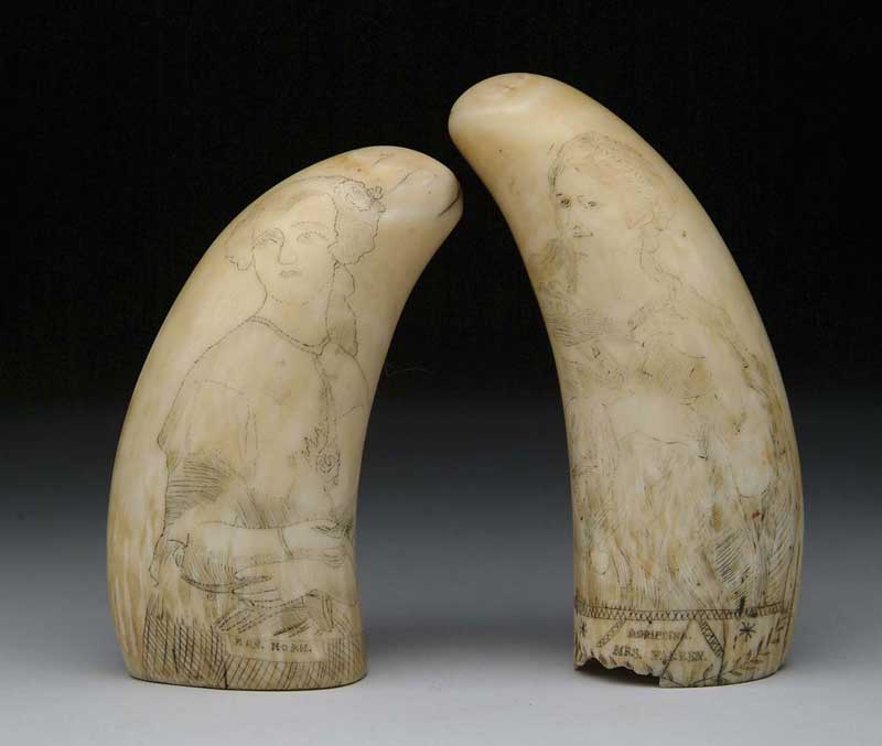 Appraisal: PAIR OF DECORATED SCRIMSHAW WHALE S TEETH The antique teeth