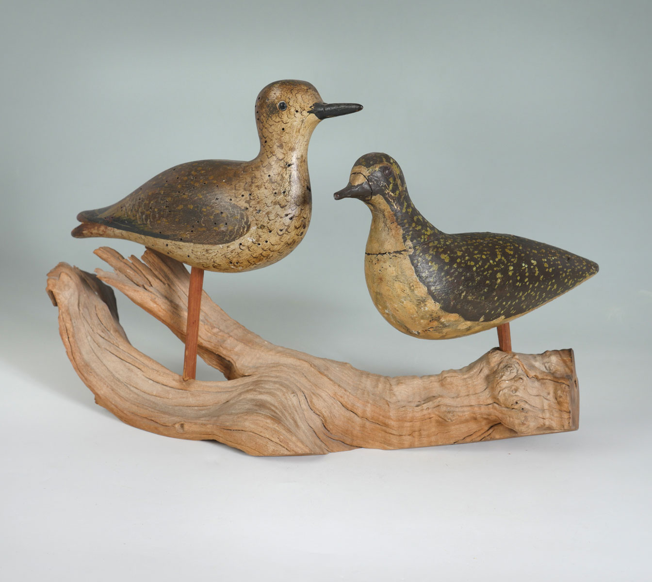 Appraisal: ANTIQUE CARVED BIRD DECOYS ON DRIFT WOOD Comprising Golden Plovers