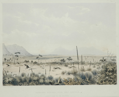 Appraisal: George French Angas - Kangaroo Hunting Near Port Lincoln Albert