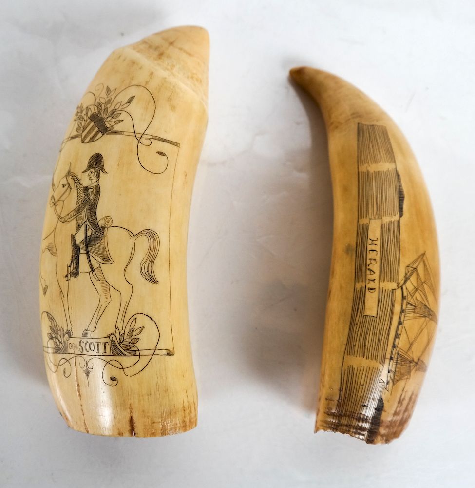 Appraisal: Scrimshaw Tooth Carvings - Herald Gen Scott General Scott depicting