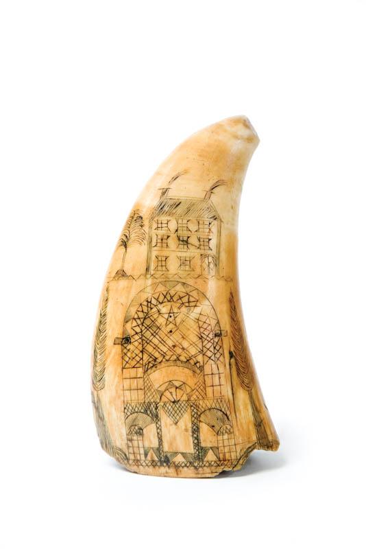 Appraisal: SCRIMSHAW TOOTH American th century The front with a Masonic