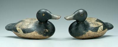 Appraisal: Two Mason duck decoys glass eyes probably blue bill drakes