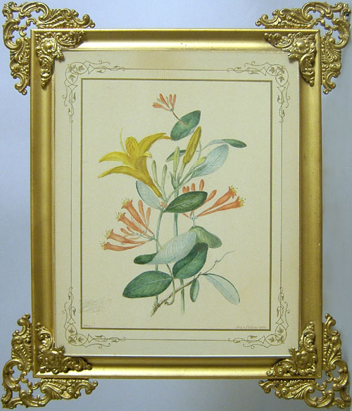 Appraisal: Victorian watercolor floral study signed John Collins x