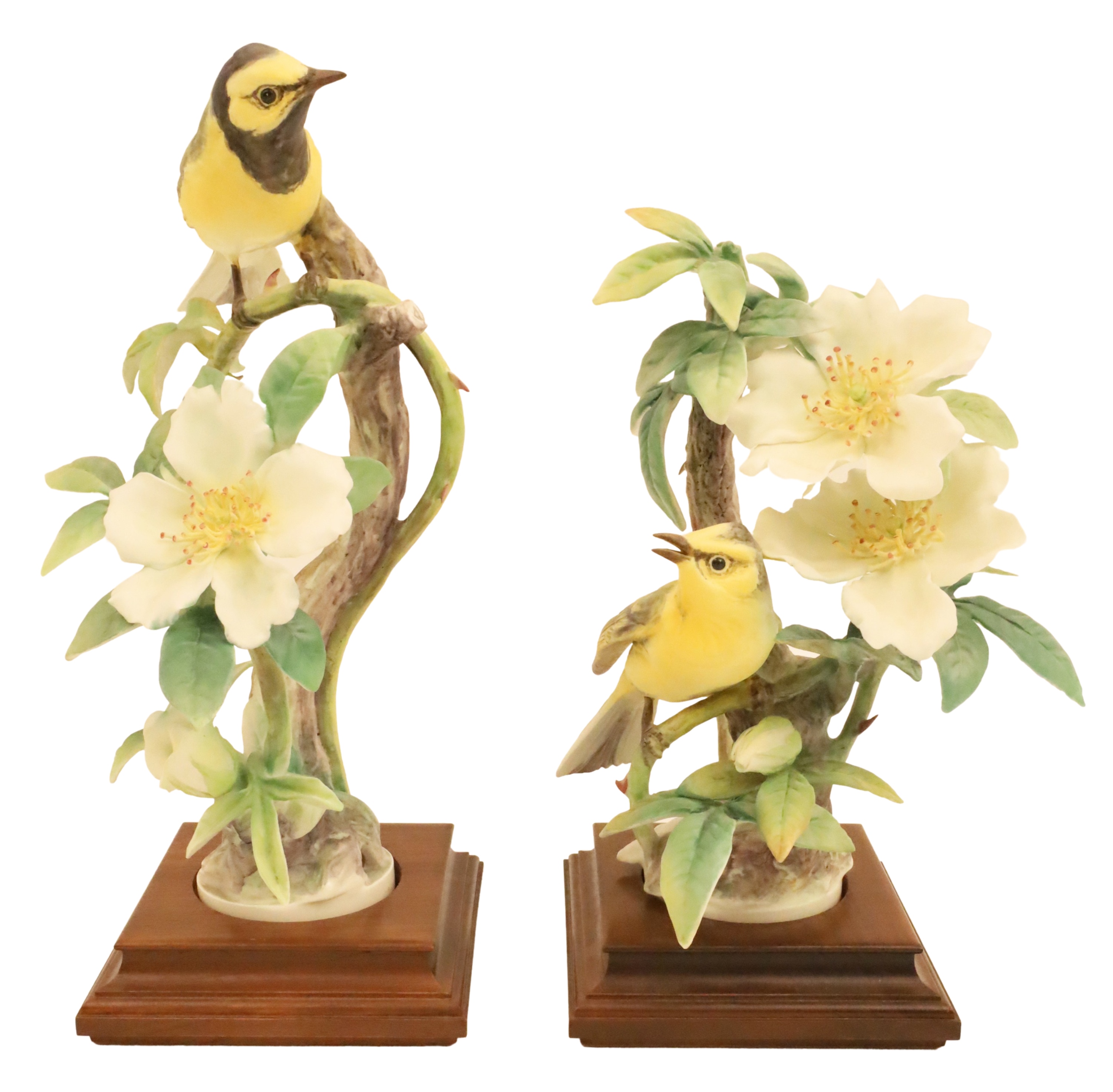 Appraisal: HOODED WARBLERS BY DOROTHY DOUGHTY Pair of porcelain models of