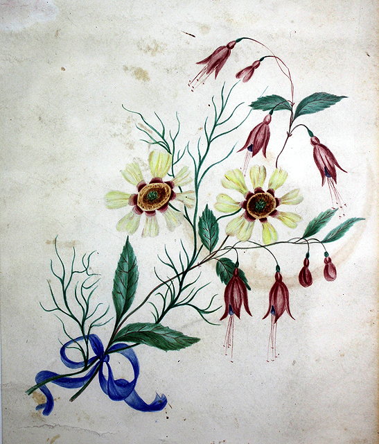 Appraisal: FOUR TH CENTURY BOTANICAL WATERCOLOURS one to include butterflies three