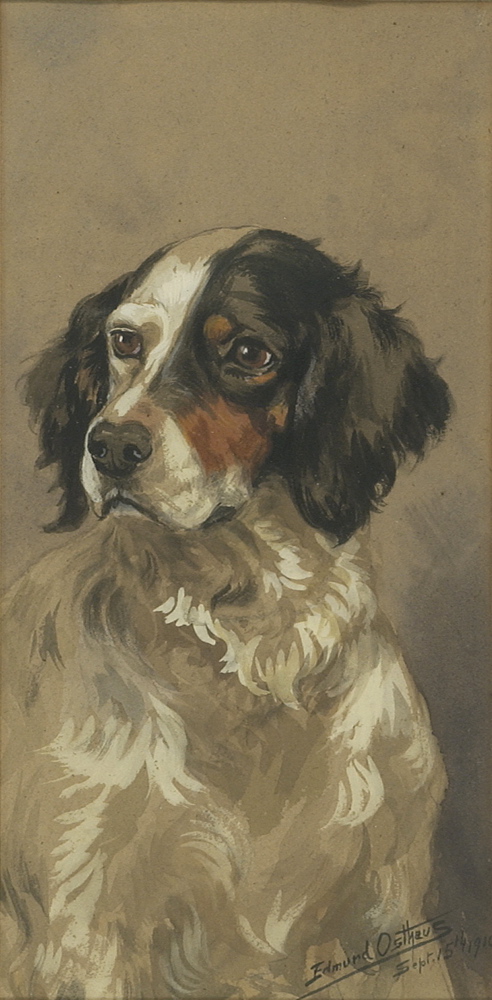 Appraisal: EDMUND HENRY OSTHAUSAmerican - Portrait of a setter Signed and