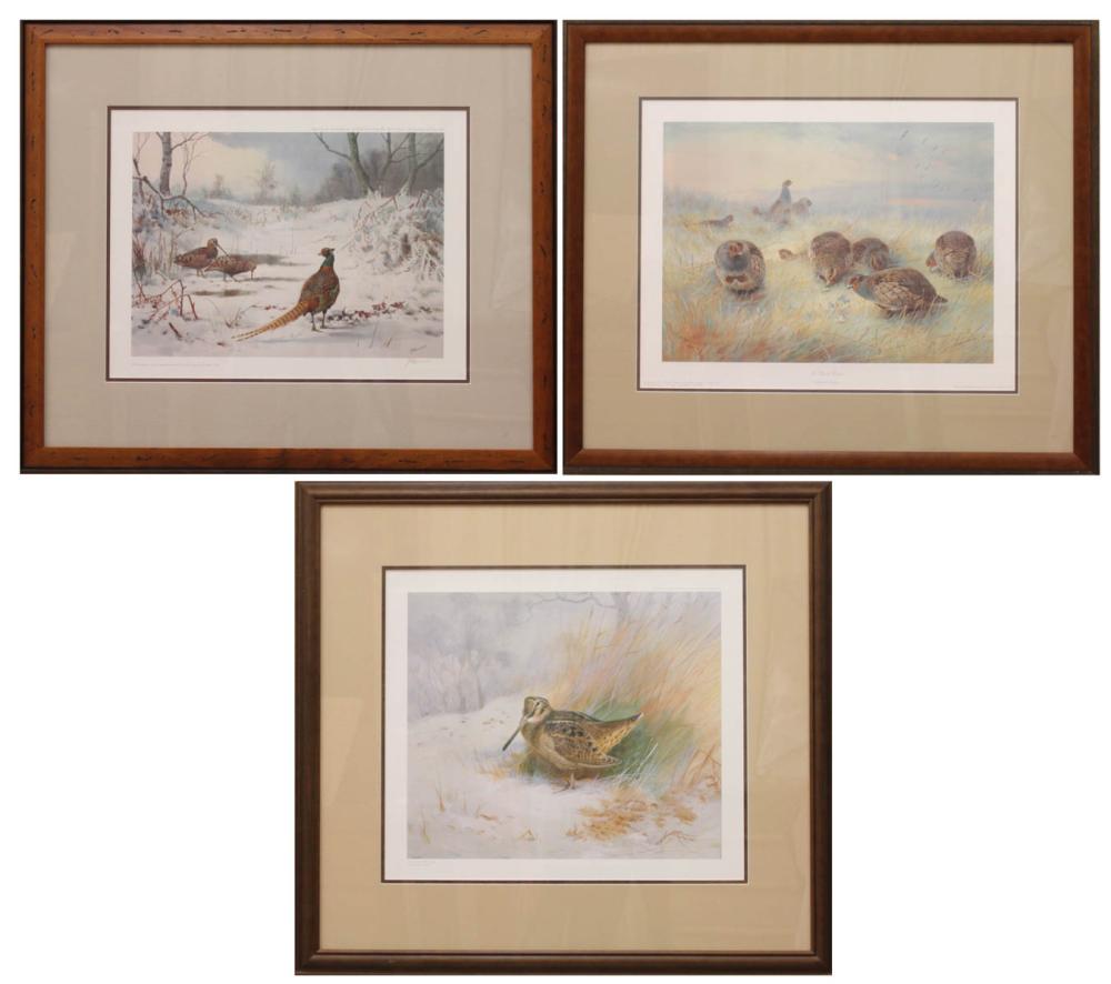 Appraisal: THREE AVIAN OFFSET LITHOGRAPHS two prints after Archibald Thorburn -