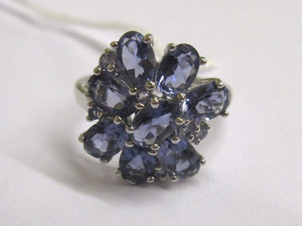 Appraisal: Nine carat white gold tanzanite cluster ring