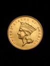 Appraisal: COIN - dollar Indian Princess gold coin AU or better