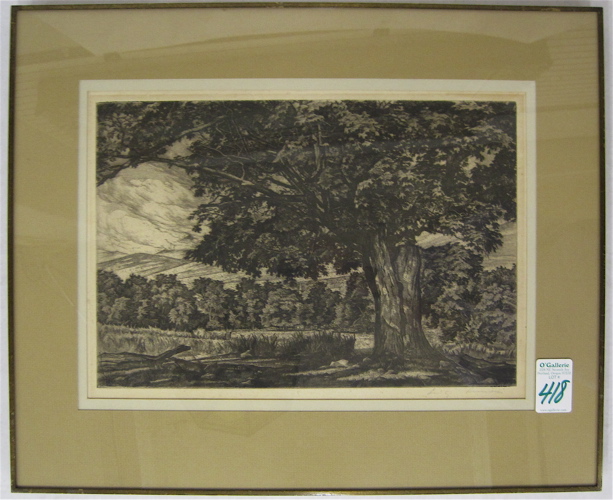 Appraisal: LUIGI LUCIONI ORIGINAL ETCHING Italy - titled The Spreading Maple