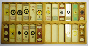 Appraisal: A quantity of Victorian and later glass microscope slides contained