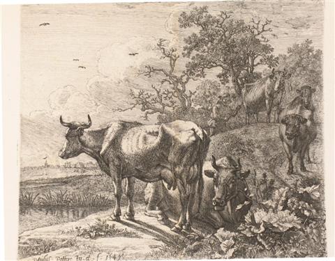 Appraisal: PAULUS POTTER DUTCH - THE HERDSMAN Aquatint x Signed and